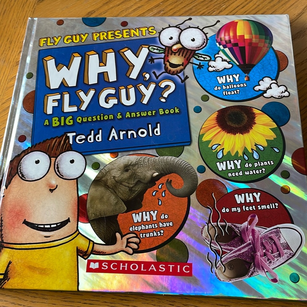 Fly Guy Presents Why Fly Guy? A Big Question & Answer Book by Tedd Arnold